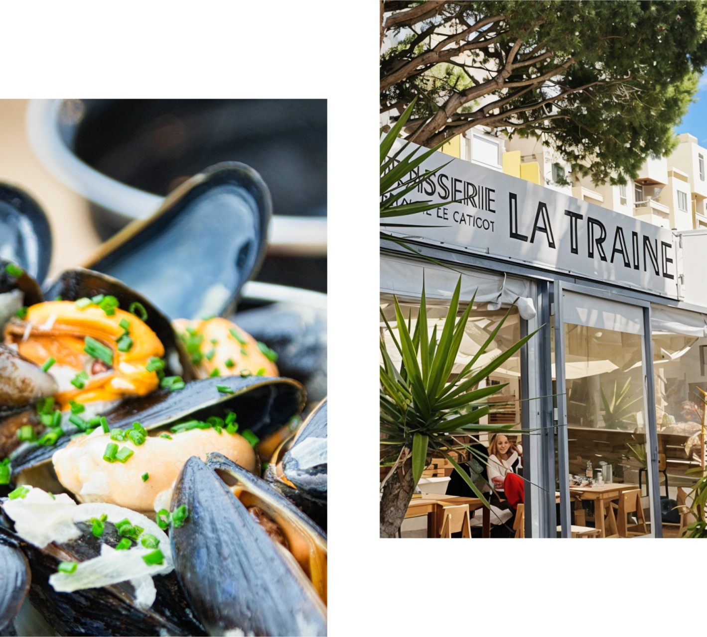 Brasserie La Traine - restaurant MAUGUIO - restaurant carnon port - restaurant port de carnon - brasserie mauguio - top restaurant MAUGUIO